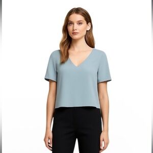 Aritzia Babaton Randy Blouse Baby Blue V-Neck Top